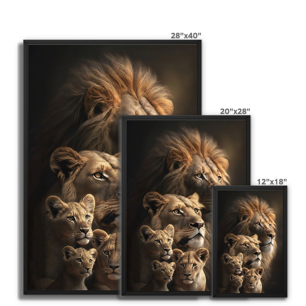 Lion's Heritage Float Framed Canvas