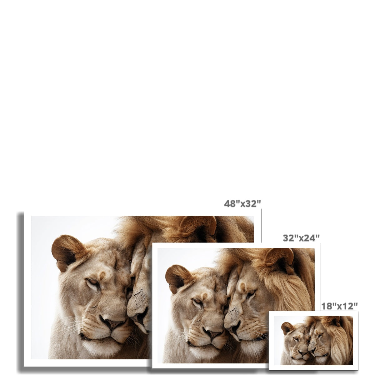 Royal Affection Canvas Print