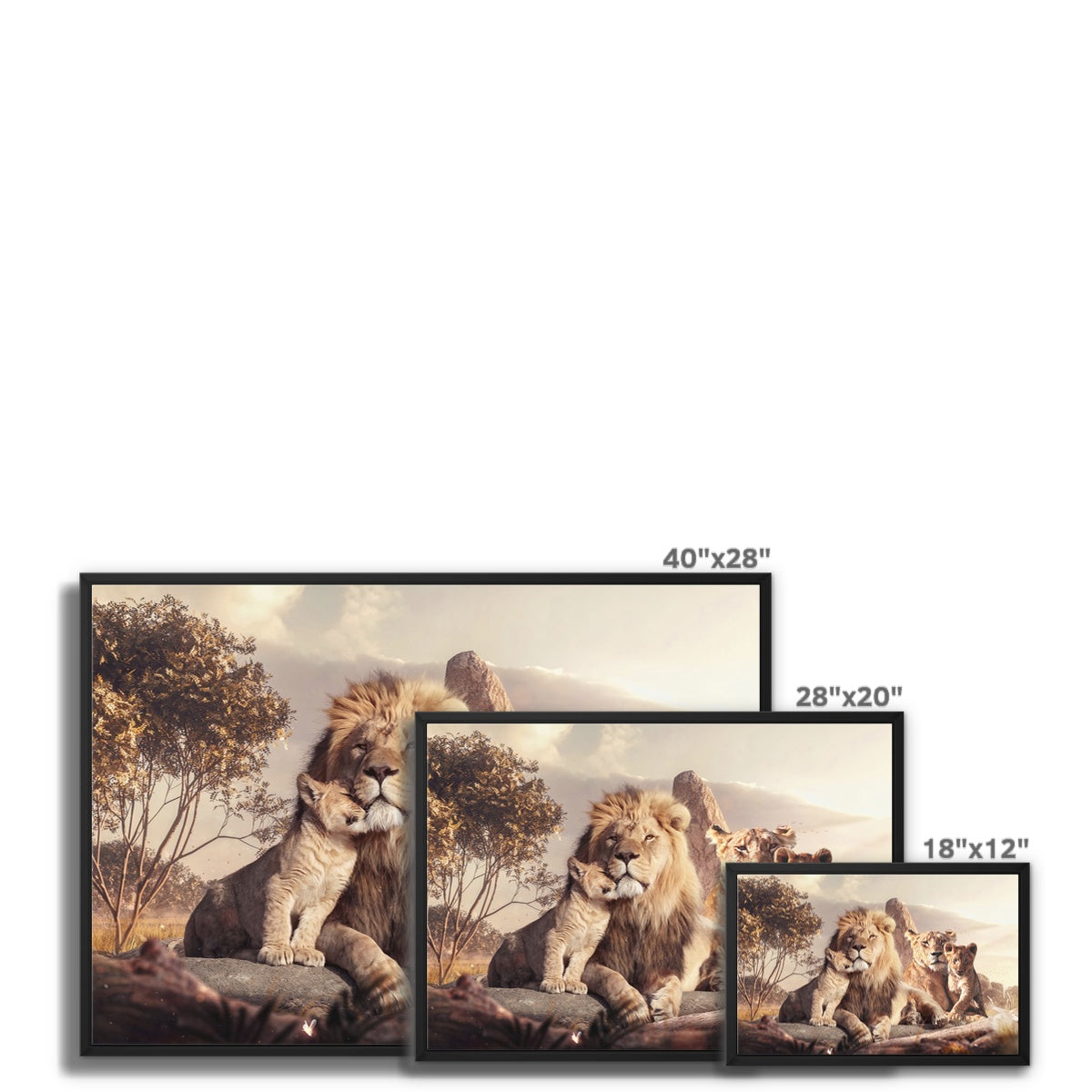 Kings of the Wild Float Framed Canvas
