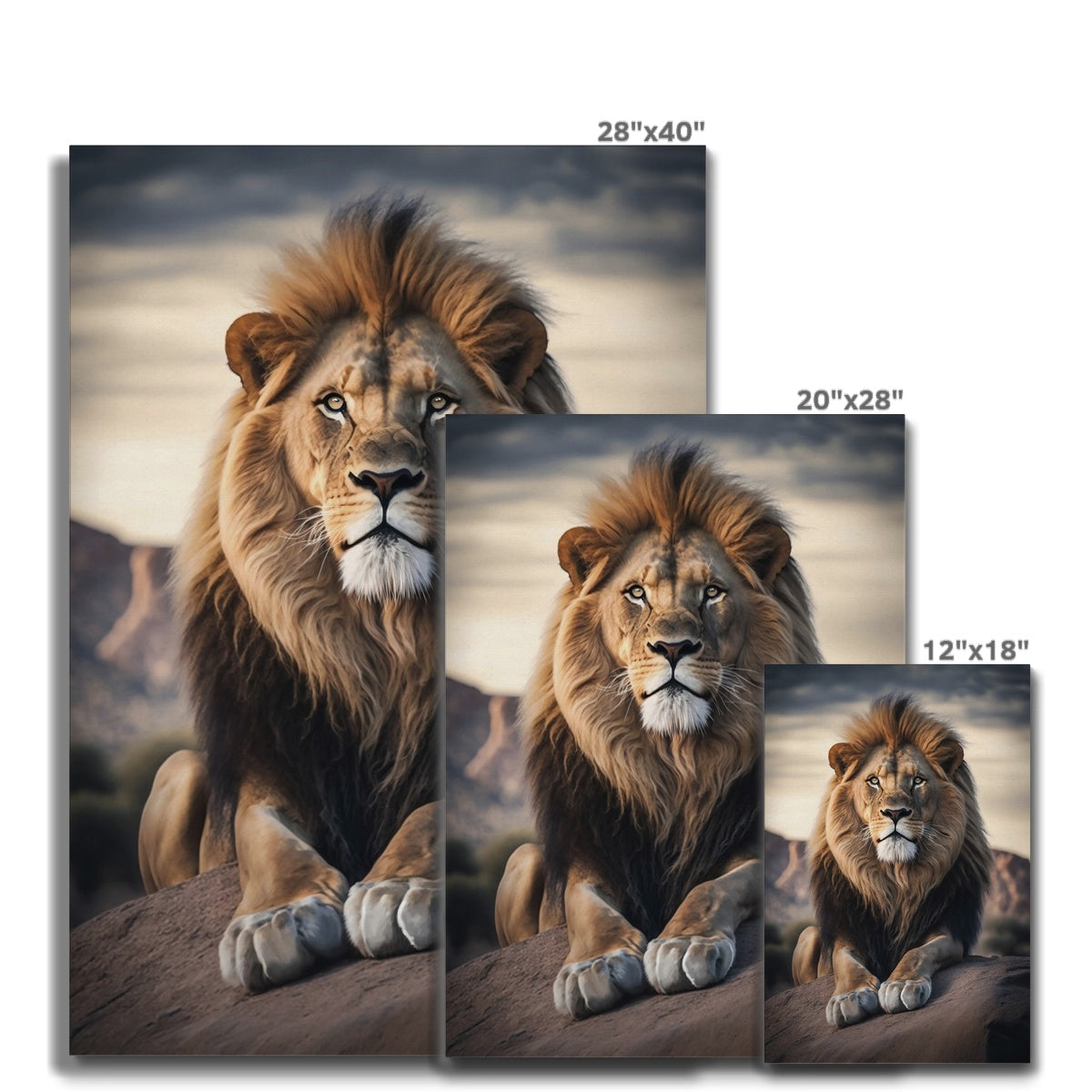 Savannah Canvas