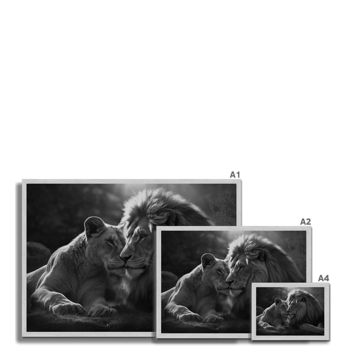 Pride's Embrace Antique Framed Print