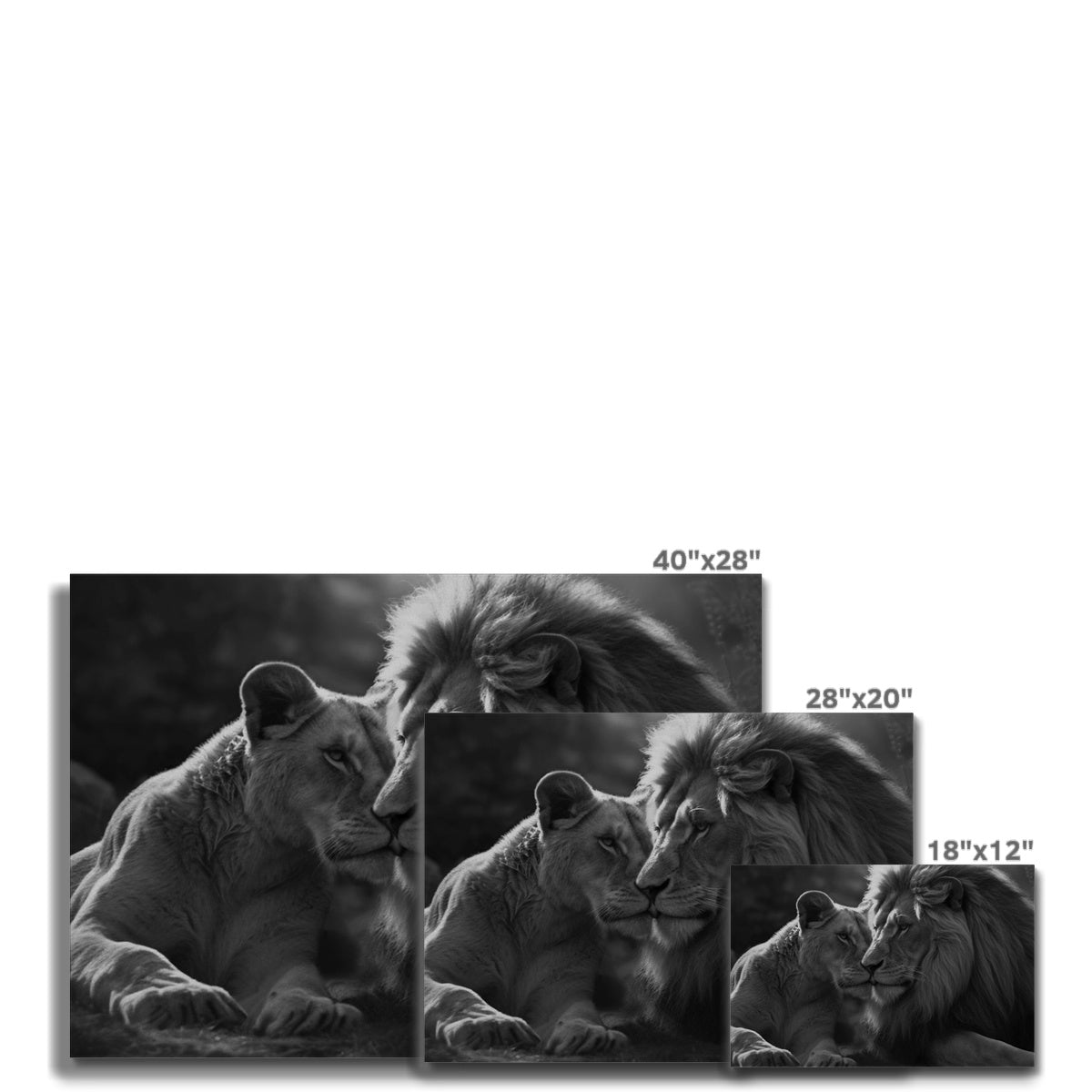 Pride's Embrace Canvas