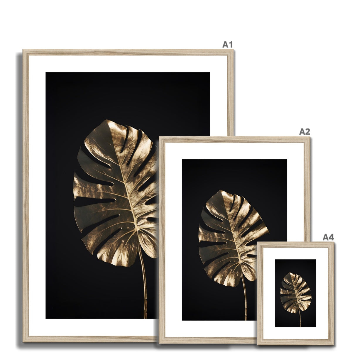Golden Monstera Framed & Mounted Print