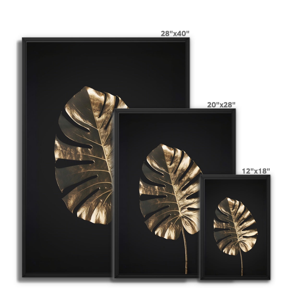 Golden Monstera Float Framed Canvas