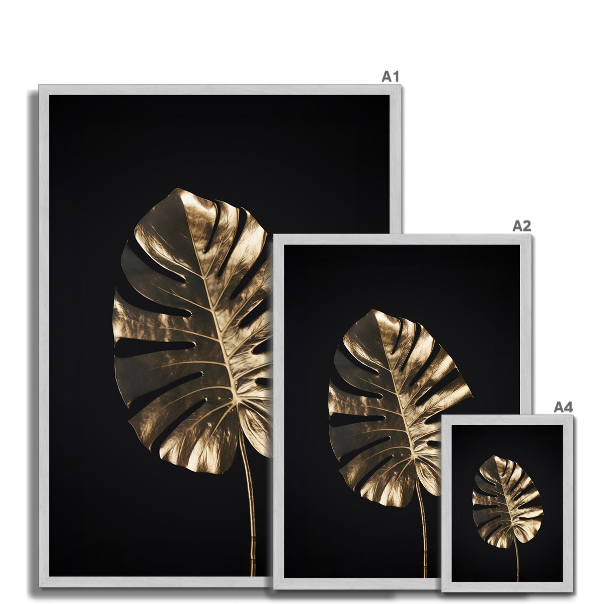 Golden Monstera Antique Framed Print
