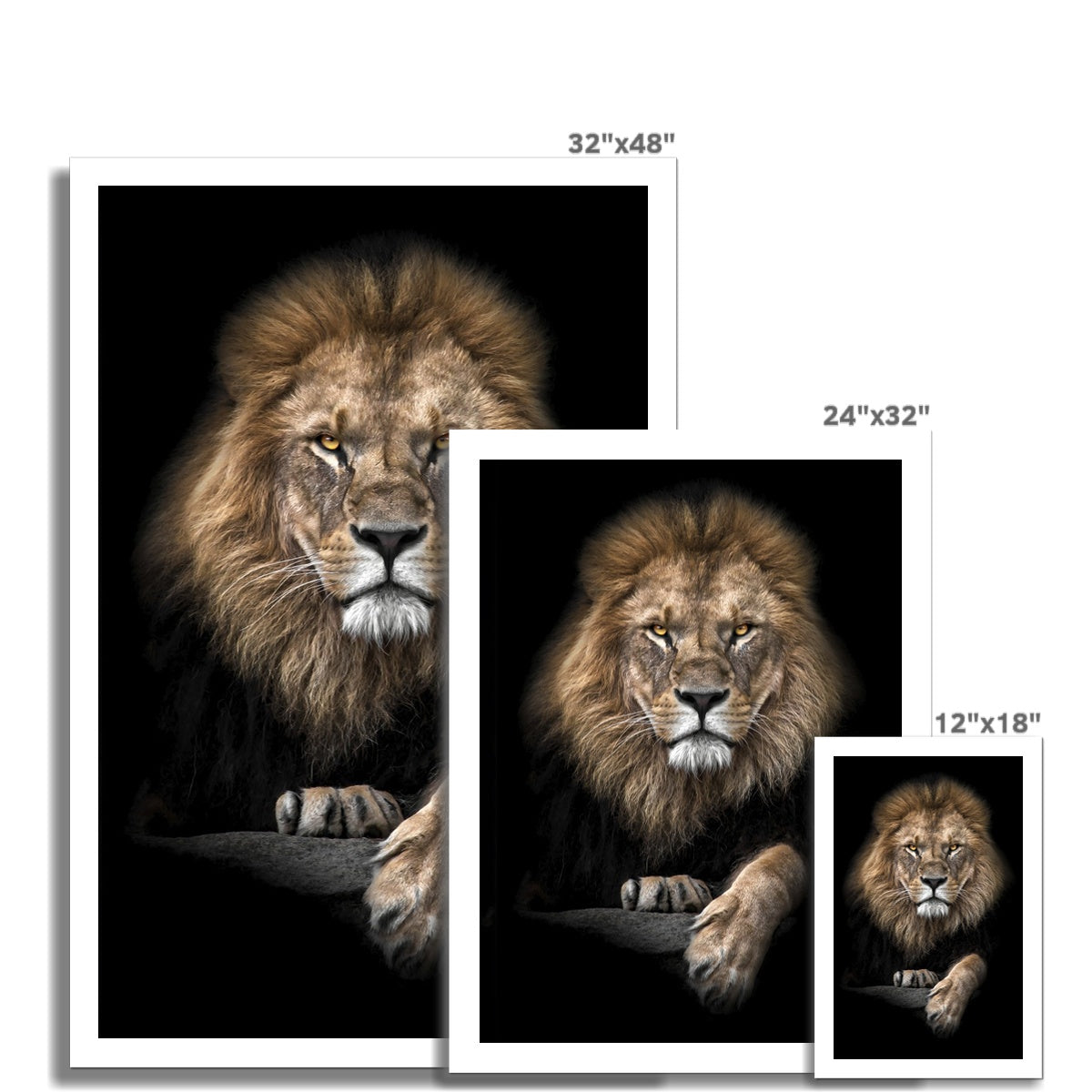 King of Beasts Canvas Print