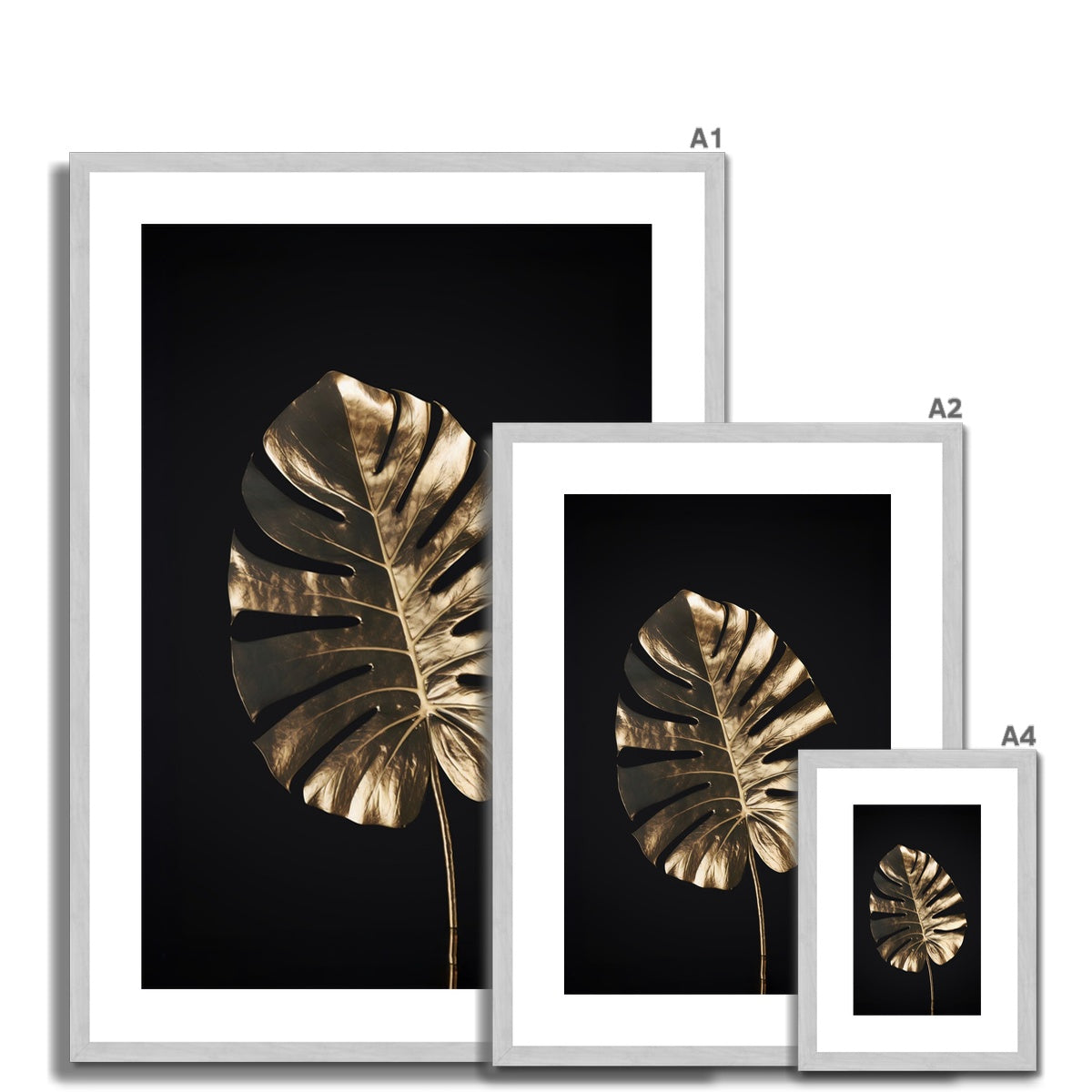 Golden Monstera Antique Framed & Mounted Print