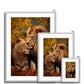 Majestic Companions Antique Framed Print