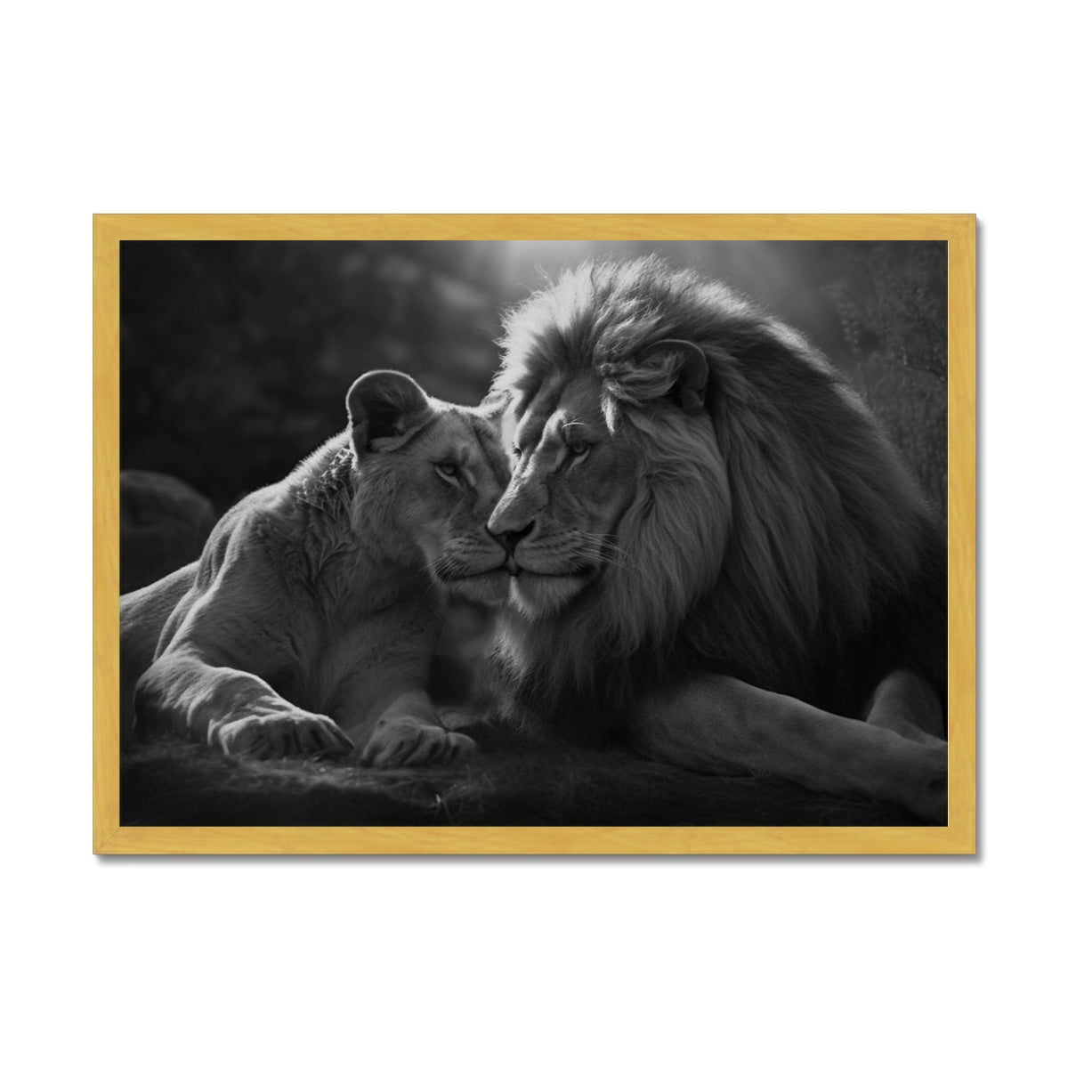 Pride's Embrace Antique Framed Print