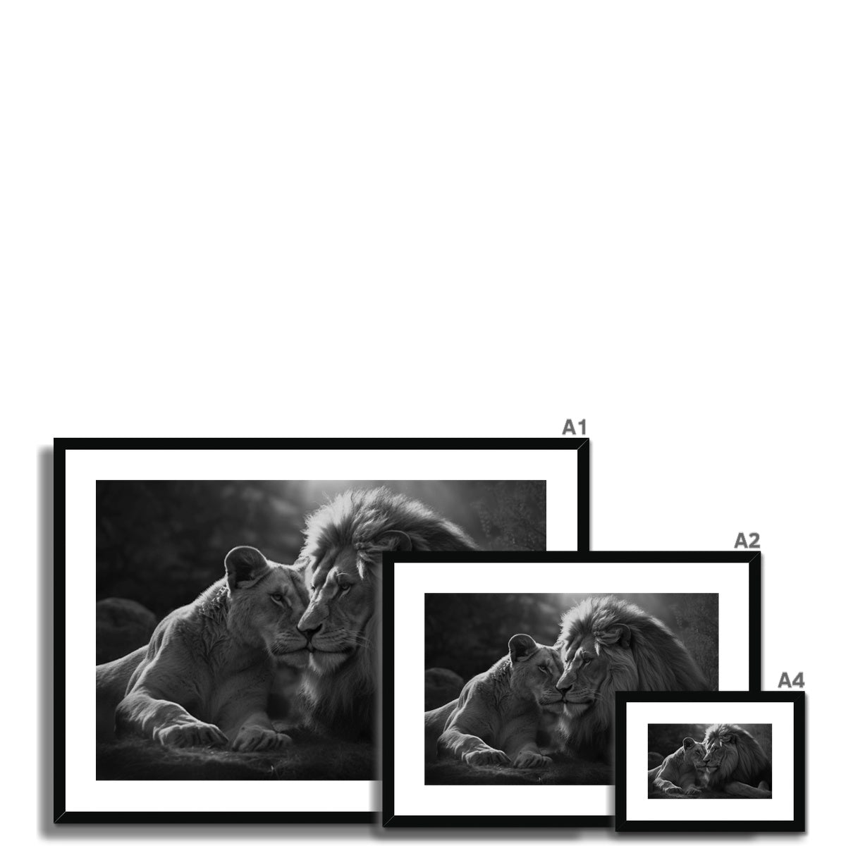 Pride's Embrace Framed & Mounted Print