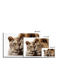 Royal Affection Canvas Print