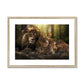 Kings and Cubs Framed & Mounted Print