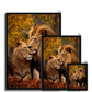 Majestic Companions Framed Print