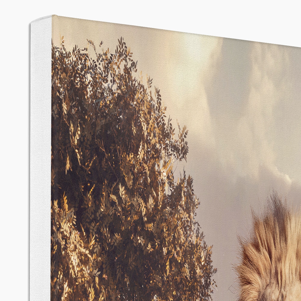 Kings of the Wild Canvas