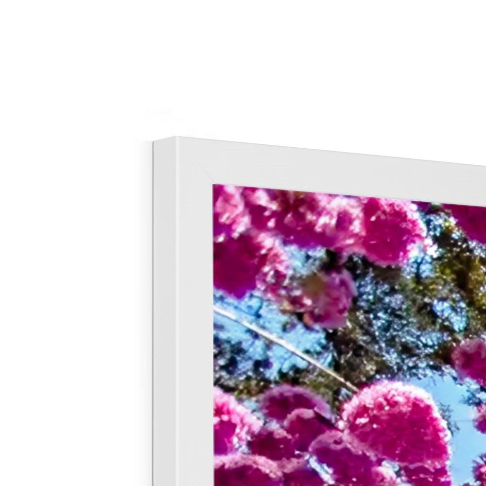 The Blooming Canopy Framed Print