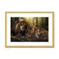 Kings and Cubs Antique Framed & Mounted Print