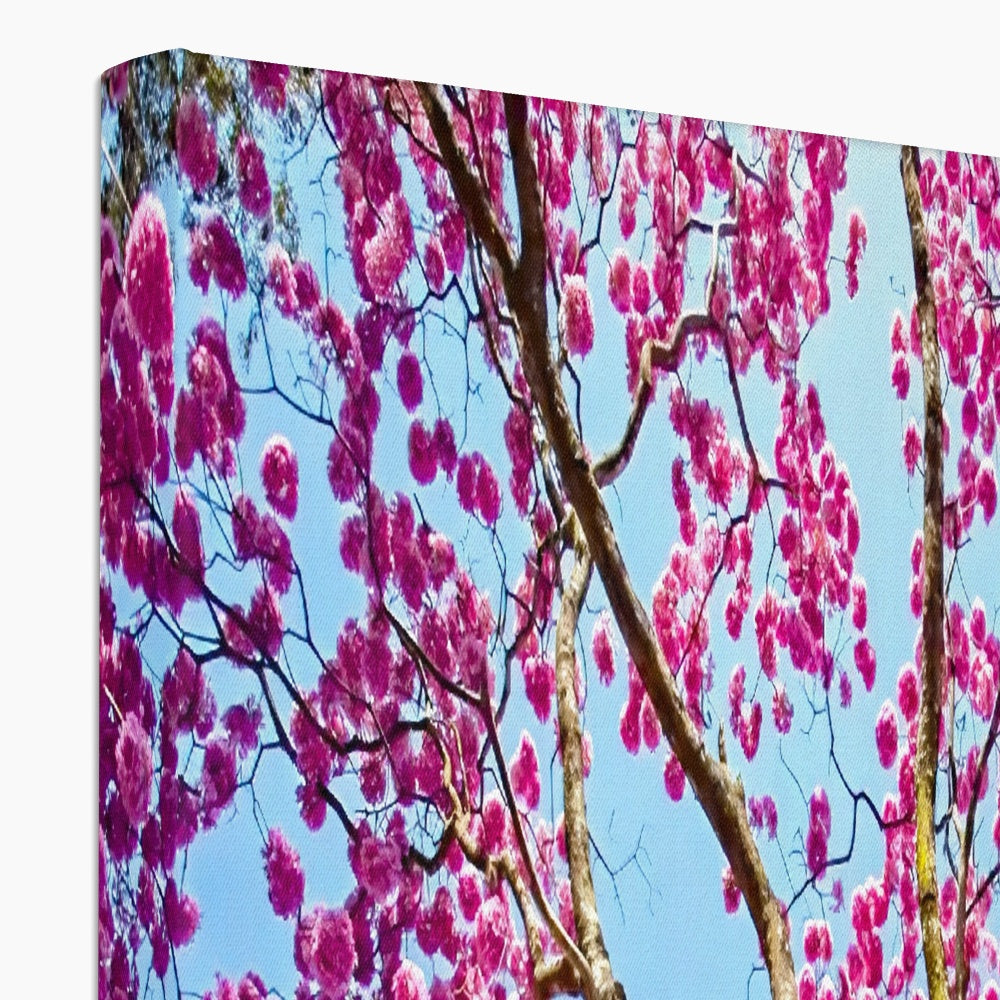 The Blooming Canopy Canvas