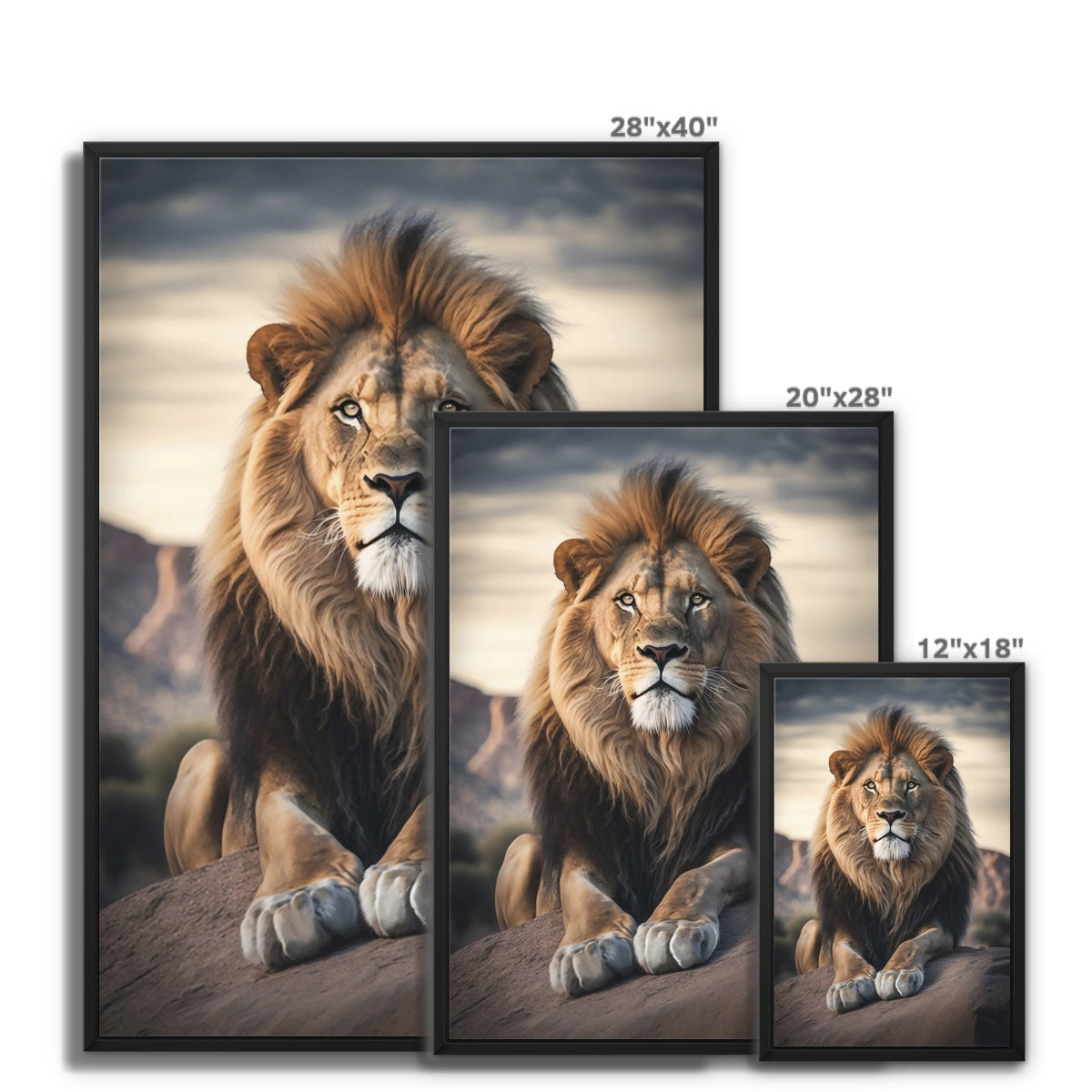 Savannah Float Framed Canvas