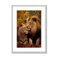 Majestic Companions Antique Framed Print