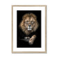 King of Beasts Framed & Mounted Print