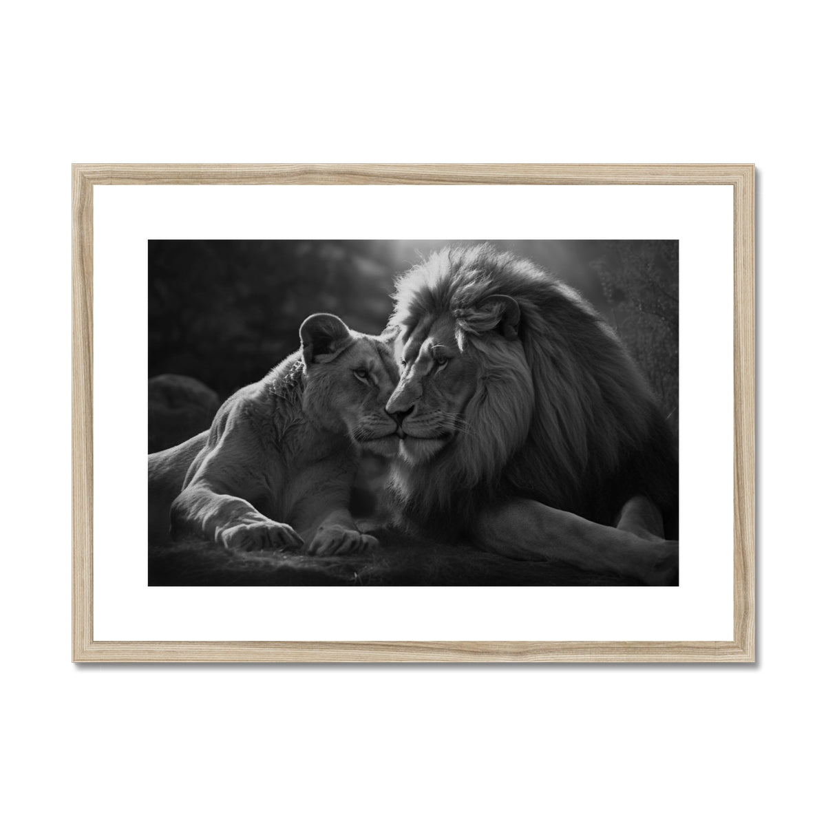 Pride's Embrace Framed & Mounted Print