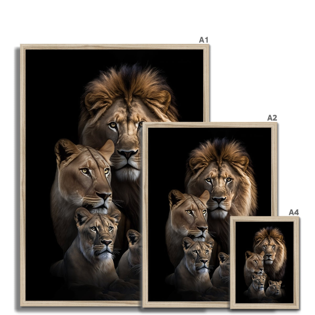 Family Pride  Framed Print