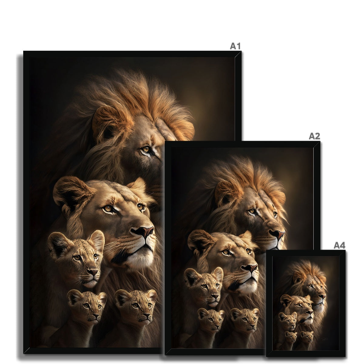 The Majestic Pride Framed Print