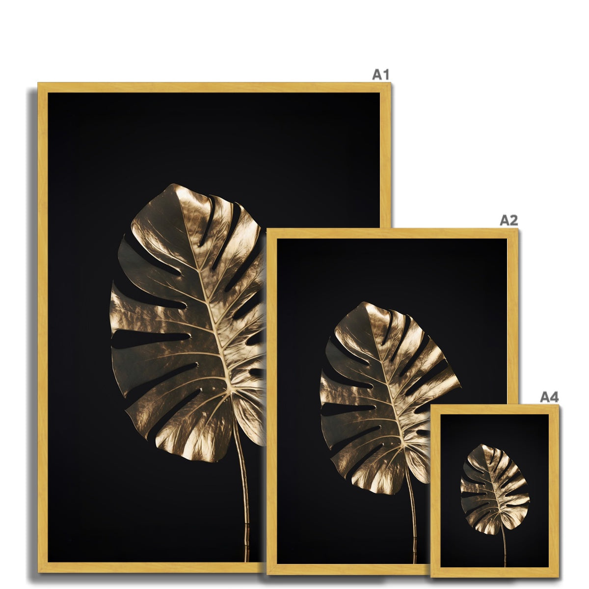 Golden Monstera  Antique Framed Print
