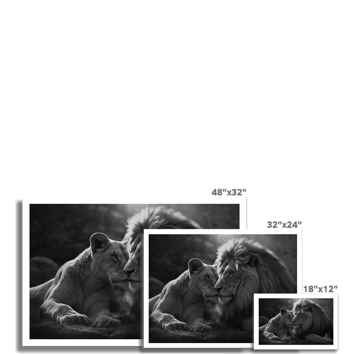 Pride's Embrace Canvas Print