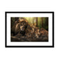 Kings and Cubs Framed & Mounted Print