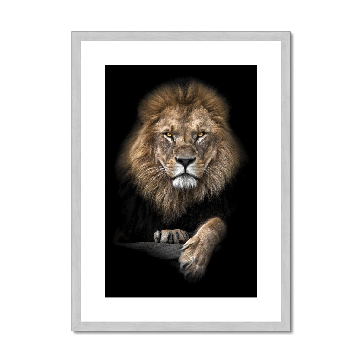 King of Beasts Antique Framed & Mounted Print