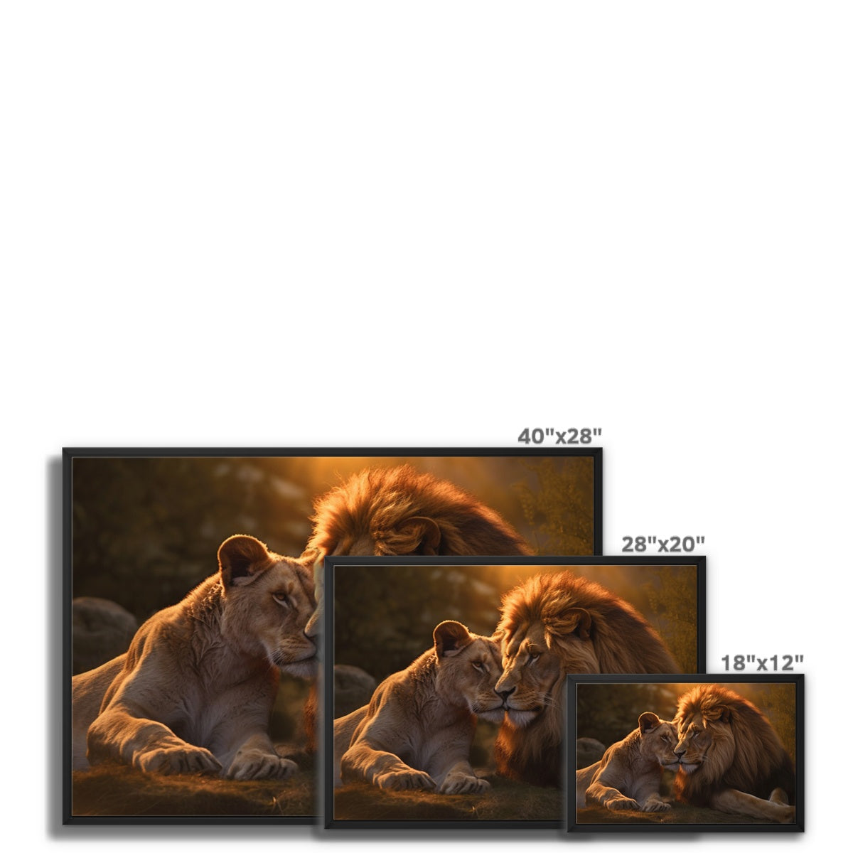 The Lion's Bond Float Framed Canvas