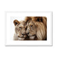 Royal Affection Framed & Mounted Print