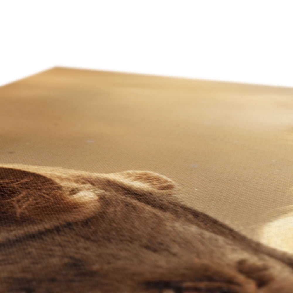 Regal Love Framed Canvas