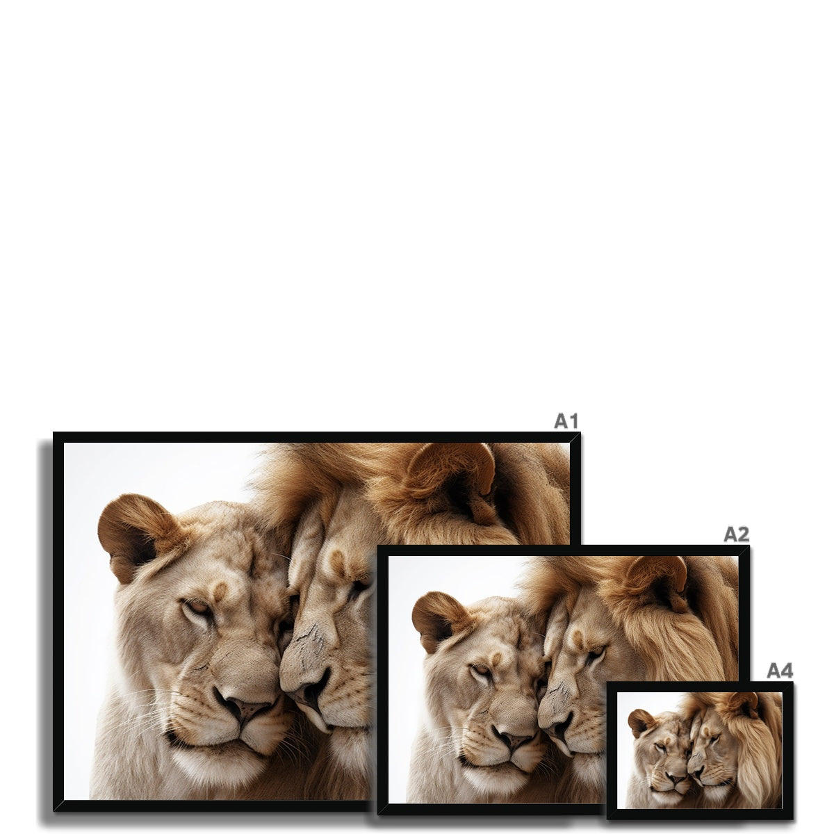 Royal Affection Framed Print