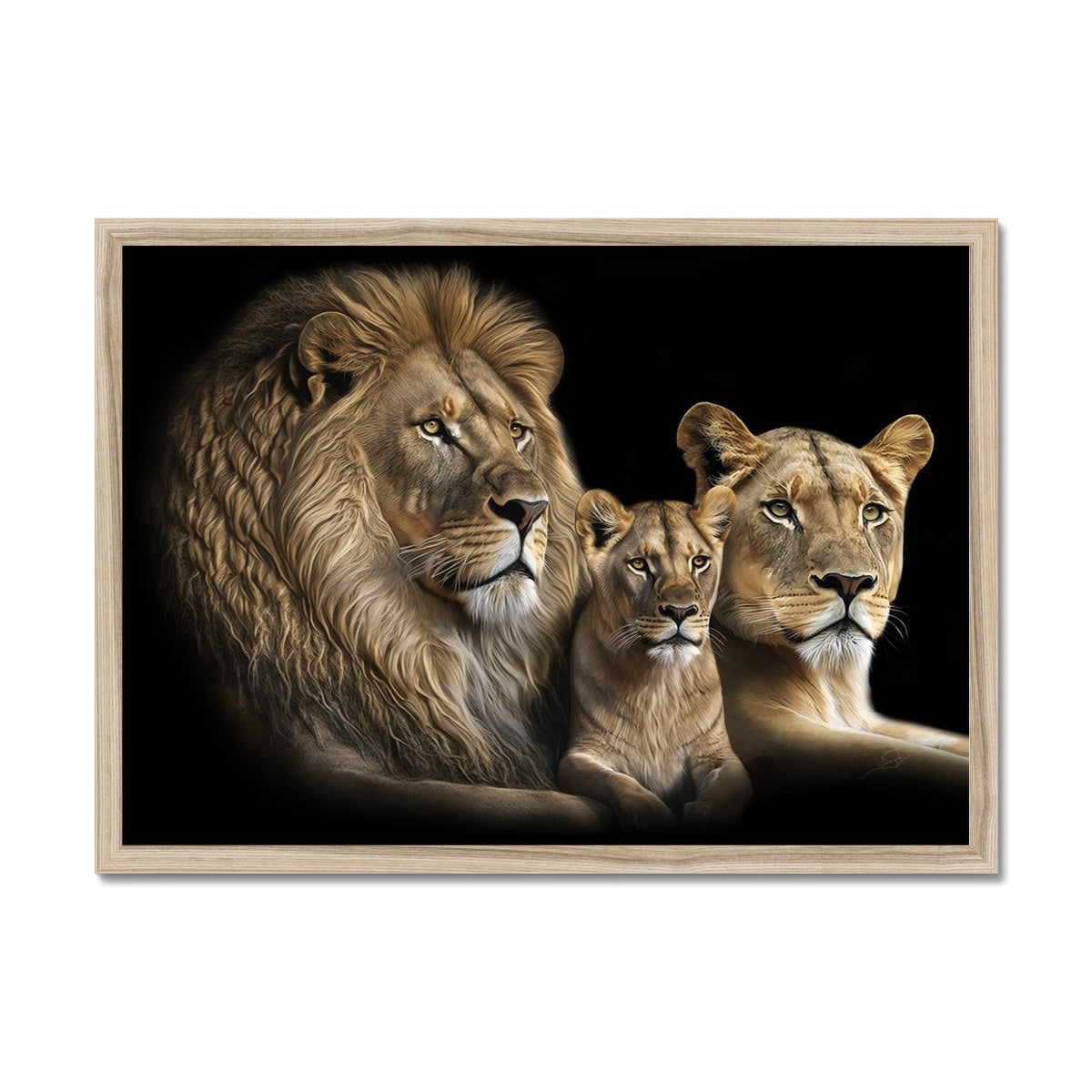 The Noble Trio Framed Print