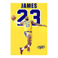 James 23 Canvas