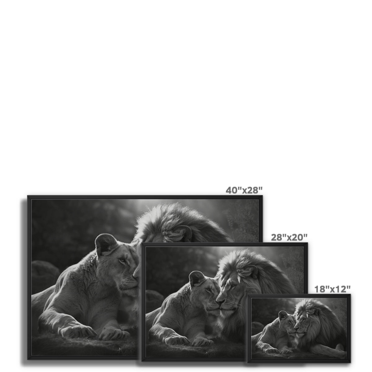 Pride's Embrace Float Framed Canvas