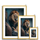 Jungle King Antique Framed & Mounted Print