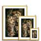 Royal Lineage Antique Framed Print