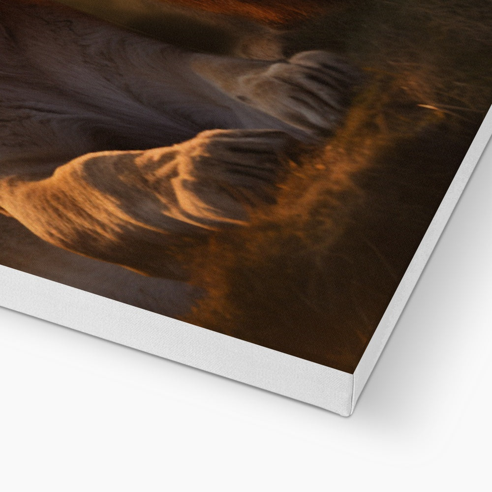 The Lion's Bond Canvas