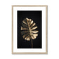 Golden Monstera  Framed & Mounted Print