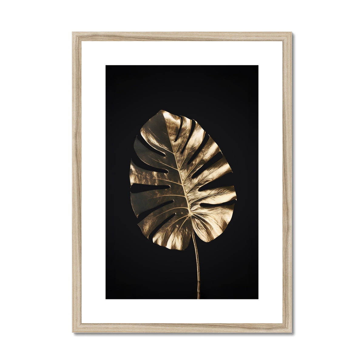 Golden Monstera  Framed & Mounted Print