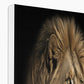 The Noble Trio Canvas