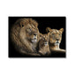 The Noble Trio Canvas