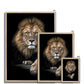 King of Beasts Framed Print