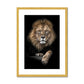King of Beasts Antique Framed & Mounted Print