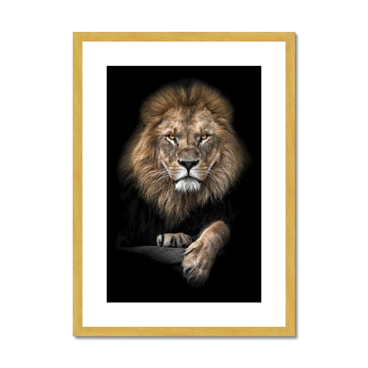 King of Beasts Antique Framed & Mounted Print