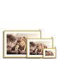 Kings of the Wild Antique Framed & Mounted Print