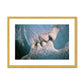 Intimate Whispers Antique Framed & Mounted Print